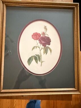 12” x 14” VTG Framed Botanical Rose Print in Gold Frame